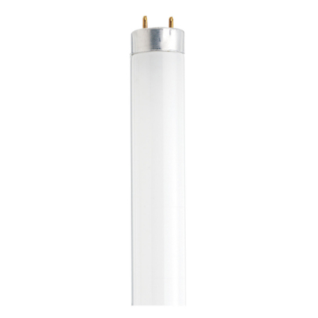 SATCO 30W - Cool White Linear Fluorescent Lamp - T8 - G13 - 2100L - 4100K S26517